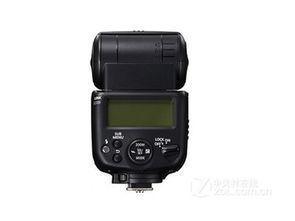 430在线观看  第1张